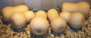 Butternut squash from our garden