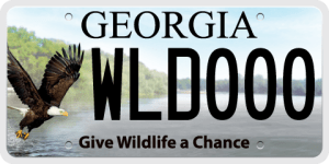 License-Plate-Nongame