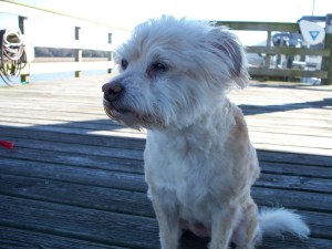 Heather on pier