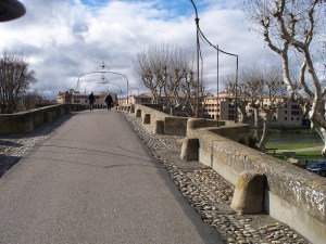 Pont Vieux, the 14th century foot bridge to town
