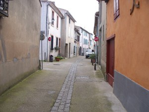 A street in our neighborhood