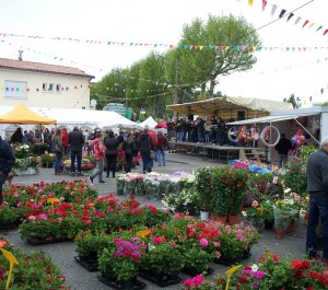 The band plays "Hot Stuff" at the flower festival