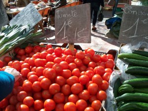 Just-picked tomatoes