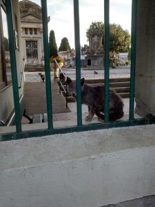 All eyes were now on us as we left