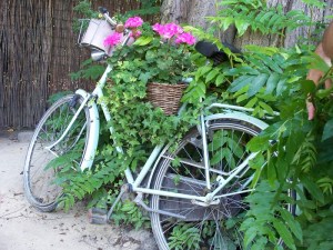 A bike still waiting for its rider