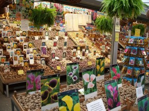Spring bulbs at the floating flower market