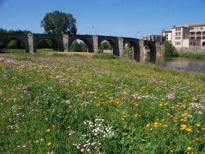 Wildflowers adorn the 14th century bridge
