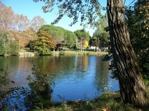 A riverside park and a fishing spot for Bill