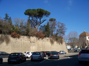 A winter garden atop another part of the wall